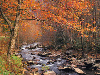 Autumn stream forest bench rocks - autumn free wallpaper for desktop