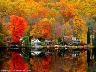 Autumn lake trees reflection houses - a reflection free wallpaper