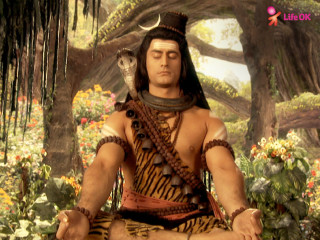 Man costume forest snake head - a man in a costume free wallpaper