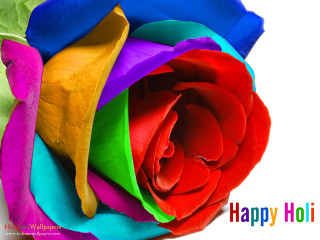 Colorful rose happy holi message - colour free wallpaper for desktop