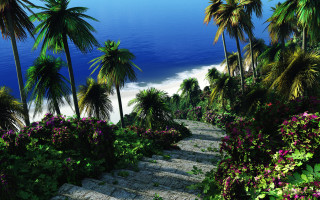 Steps beach palm trees flowers - the side of the road next free wallpaper