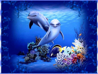 Dolphin swimming ocean corals fish - ecological art free wallpaper