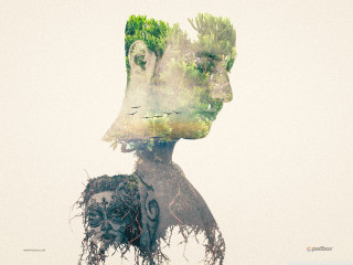 Woman tree man beard cutout - a beard and a beard free wallpaper