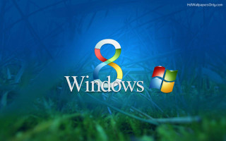 Windows8 blue background grass blades - the right side of the image free wallpaper
