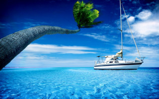 Boat ocean palm tree blue 2 - a boat free wallpaper for desktop