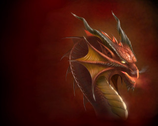 Red yellow dragon black background - a red dragon free wallpaper