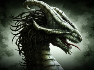 Dragon long hair large mouth - a large mouth free wallpaper