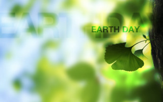 Leaf earth day background blurry - david firth free wallpaper