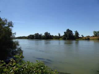 River trees blue sky bushes - a few bush free wallpaper