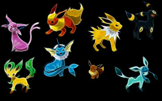 Colorful pokemons black background group - pokemon free wallpaper