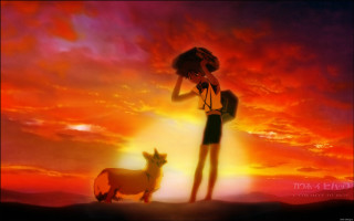 Woman dog sunset sky clouds - a sunset sky free wallpaper for desktop