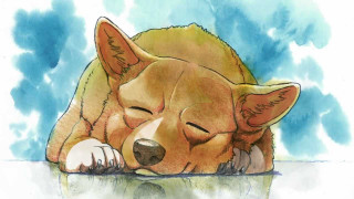 Dog sleeping table head ground - a watercolor painting free wallpaper