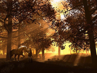 Horse forest sunlight trees nature - a horse free wallpaper