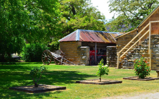 Small garden tree building ladder - heidelberg school free wallpaper