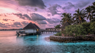 Pier hut palm trees sunset - a hut free wallpaper