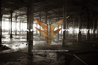 Black white building bird logo - photo of a building free wallpaper