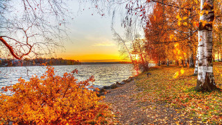 Autumn path water trees burning - arthur quartley free wallpaper