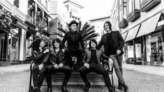 City square group bench palm - billie waters free wallpaper