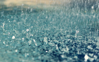 Close up rain shower water - water droplet free wallpaper