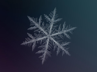 Snowflake dark blue purple background - a snowflake free wallpaper for desktop
