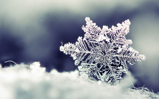 Snowflake in the middle of - a snowflake free wallpaper
