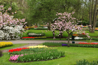 Garden flowers trees bench nature - flower and trees free wallpaper