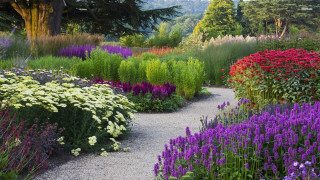 Garden flower path mountain nature - blunt border free wallpaper