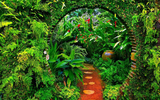 Garden path plants potted plant - jungle free wallpaper