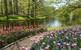 Park pond flowers people walking - free spring wallpaper