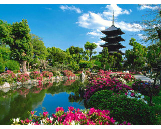 Pond flowers pagoda blue sky - a pond free wallpaper