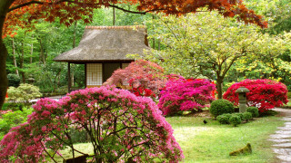 Garden gazebo flowers trees path 2 - flower and trees free wallpaper