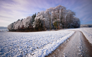 Snowy road field trees blue - a few snow free wallpaper