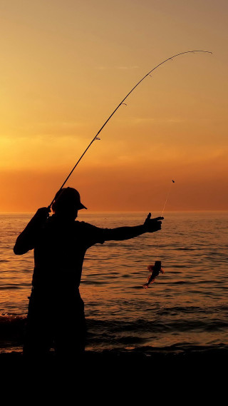 Man fishing sunset beach fish - free summer wallpaper for mobile