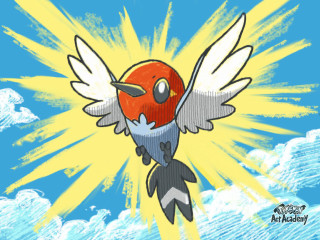 Bird flying yellow background blue - yellow background free wallpaper