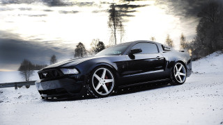 Black mustang snowy road trees - matte finish free wallpaper for desktop