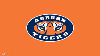 Auburn tigers logo orange sunset - an orange background free wallpaper