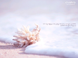 White flower sandy beach love - a quote in the middle of free wallpaper