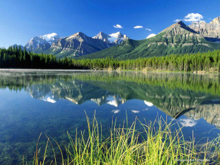 Mountain range reflection lake trees 11 - tree and grass free wallpaper