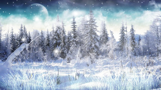 Snowy landscape full moon trees 4 - a full moon and trees free wallpaper