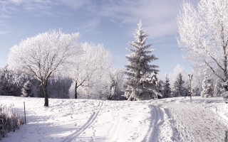 Snowy road trees fence blue - a snowy road free wallpaper