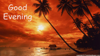 Sunset palm trees boat water 2 - palm tree and a boat free wallpaper