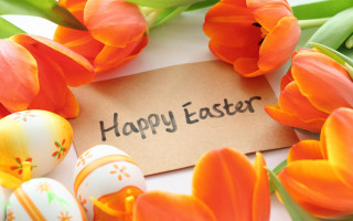 Happy easter orange tulips eggs - a card free wallpaper
