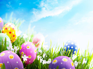 Colorful eggs grass daisies decorated - folk art free wallpaper