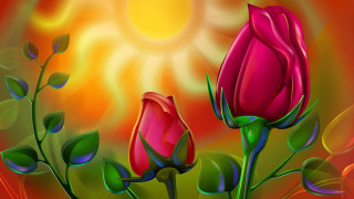 Red roses green leaves sun - two red rose free wallpaper