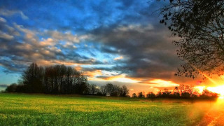 Field tree sunset clouds sky 2 - a tree and a sunset in the background free wallpaper