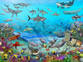 Sea life scene sharks swimming - a fish swimming free wallpaper