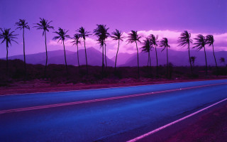 Palm trees road purple sky - a purple sky in the background free wallpaper