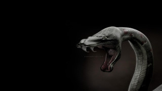Snake mouth open tongue out 2 - ultra realistic digital art free wallpaper