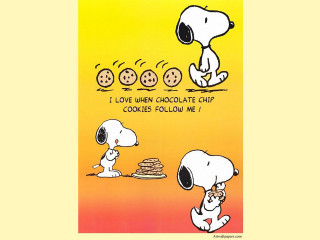 Cartoon dog eating cookies together - the caption free wallpaper