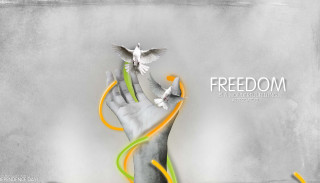 Hand bird flying streamers air - a hand free wallpaper for desktop